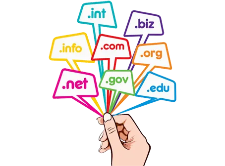 Domain Name Registration